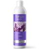 Bottega Verde - Shampoo Viola, Orchidea e Riso, per Capelli Grigi, Bianchi o Decolorati, 250 ml, Azione Antigiallo e Idratante, Ravviva le Tonalità Fredde, Dona Vitalità, con Estratto di Orchidea