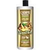 DONA FLORA - Champú Stimolante Zenzero | Capelli Forti e Rivitalizzati | Formula Vegetale Senza Parabeni | Adatto a Tutti i Tipi di Capelli | Pulizia Profonda e Lucentezza, -1 kg