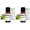 Aroma Labs - Ravintsara BIO - Olio Essenziale Chemiotipizato e Certificato AB - 10 mL (Confezione da 2)