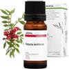 Aroma Labs Lentisco BIO (Pistacia lentiscus) - 10 mL - Olio Essenziale Chemiotipizzato e Certificato AB - Aroma Labs - Made in France