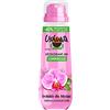 Ushuaia Ushuaïa - Deodorante compresso, 48 ore, orchidea del Messico