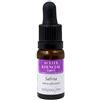 Nirvana Spa Esen Salvia 10Ml Nirvana Spa 1 Unità 100 g