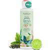 Jean & Len Shampoo Freschezza Tè Verde & Lime, per capelli normali e che tendono a ungersi, protegge dalla perdita di idratazione, cura riequilibrante, senza siliconi e parabeni, vegano, 500 ml