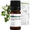 Aroma Labs Mirto Verde BIO (Myrtus communis - CT cineolo) - 5 mL - Olio Essenziale Chemiotipizzato e Certificato AB - Aroma Labs - Made in France