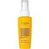 GYADA COSMETICS, Olio Solare Capelli Protettivo, Ripara e Protegge i Capelli Dai Danni Derivanti Da esposizione Solare, a Base di Mallo di Noci, Olio di Carota, 100 ml