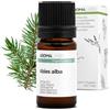Aroma Labs Abete Bianco BIO (Abies alba) - 5 mL - Olio Essenziale Chemiotipizzato e Certificato AB - Benessere respiratorio - Aroma Labs - Made in France