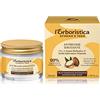 L'Erboristica di Athena's dal 1969 L'Erboristica Athena's - Crema Viso Antirughe - Acido Ialuronico Viso con Olio di Argan, Burro di Karité, Olio di Jojoba e Ginko Biloba - Crema Idratante Viso per Pelle Mista - 50 ml