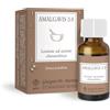Dr Giorgini AMALGAVIS 3.0-10 ml (lozione ad azione cheratolitica)