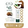 L'Angelica, Lip Balm Cocco & Vitamina E, 12 Confezioni, Burrocacao con Ingredienti Sicuri e Naturali, Protegge da Freddo e Sole, Dermatologicamente Testato, Senza Oli Minerali, Coloranti e Petrolati