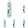 Kelemata Kelémata, Shampoo Vitalizzante alle Foglie di Menta, 250 ml, Dona Energia e Vitalità ai Capelli, Azione Tonificante e Rinfrescante, Ideale per Capelli Normali e Uso Frequente, Perfetto Dopo Sport