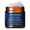 ANTIPODES Culture Probiotic Night Water Cream 60ml