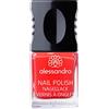 Alessandro vernice 31 standard Flush femminile, prima Pack (1 x 10 ml)