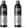 Bottega Verde, UOMO+ CAPELLI - Shampoo antiforfora - con estratti di Tea tree e Ortica - antiprurito e antiricomparsa - elimina la forfora visibile* (250 ml). (Confezione da 2)