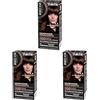 Syoss by Palette Colorazione Permanente 4-8 Castano Cioccolato, Colorazione capelli permanente con Cheratina, Per 100% copertura dei capelli bianchi e fino a 100 giorni di colore intenso