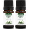La Compagnie des Sens EUCALIPTO RADIATA BIO - 5mL - Olio Essenziale di Qualità Premium - 100% Puro, Naturale, Garantito ChromaCert® - Chemiotipizzato & Integrale (Confezione da 2)