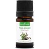 La Compagnie des Sens TIMO A LINALOLO (Thymus zygis) BIO - 5mL - Olio Essenziale - 100% Puro, Naturale, Garantito ChromaCert® - Chemiotipizzato & Integrale