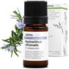Aroma Labs Rosmarino Verbenone BIO (Rosmarinus officinalis CT verbenone) - 5 mL - Olio Essenziale Chemiotipizzato e Certificato AB - Benessere epatico - Aroma Labs - Made in France