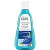 Guhl - Shampoo a lunga durata Guhl, 250 ml