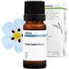 Aroma Labs Cisto BIO (Cistus ladaniferus) - 10 mL - Olio Essenziale Chemiotipizzato e Certificato AB - Aroma Labs - Made in France