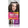 Cameleo - Shampoo Colorante - Dark Chocolate - Aggiornamento del colore facile e veloce ''Tone In Tone''. - Senza ammoniaca e ossidanti - Shampoo in bustina - 40ml (Confezione da 5)