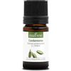 La Compagnie des Sens CARDAMOMO BIO - 5mL - Olio Essenziale di Qualità Premium - 100% Puro, Naturale, Garantito ChromaCert® - Chemiotipizzato & Integrale