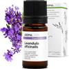 Aroma Labs Lavanda Vera BIO (Lavandula officinalis) - 5 mL - Olio Essenziale Chemiotipizzato e Certificato AB - Aroma Labs - Made in France