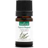 La Compagnie des Sens TIMO AL TUJANOL BIO - 5mL - Olio Essenziale di Qualità Premium - 100% Puro, Naturale, garantito ChromaCert® - Chemotipizzato & Integrale