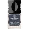 alessandro vernice grigio standard di Alessandro New York 76, 1er Pack (1 x 10 ml)