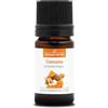 La Compagnie des Sens CURCUMA (Curcuma longa) BIO - 5mL - Olio Essenziale di Qualità Premium - 100% Puro, Naturale, Garantito ChromaCert® - Chemiotipizzato & Integrale