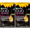 Garnier Colore permanente per capelli Olia senza ammoniaca, con oli nutrienti e naturali, copertura totale dei capelli grigi, colorazione permanente, n. 3.0 castano scuro, 1 pezzo (Confezione da 2)