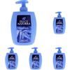 Felce Azzurra Sapone Liquido Classico, 300ml (Confezione da 5)