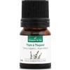 La Compagnie des Sens THYM A THUJANOL BIO - 2.5mL - Huile Essentielle de Qualité Premium - 100% Pure, Naturelle, garantie ChromaCert® - Chémotypée & Intégrale