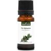 La Compagnie des Sens PIN SYLVESTRE (Pinus sylvestris) BIO - 10mL - Olio Essenziale di Qualità Premium - 100% Puro, Naturale, Garantito ChromaCert® - Chemiotipizzato & Integrale