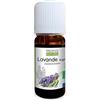 PROPOS'NATURE Olio essenziale di lavanda Aspic Bio - Lavandula latifolia herb oil - 10 ml - PROPOSE NATURE