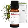 Aroma Labs Trementina BIO (Pinus pinaster) - 10 mL - Olio Essenziale Chemiotipizzato e Certificato AB/Cosmos - Aroma Labs - Made in France