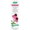 A.Vogel Crema Echinacea | Idratazione Naturale Quotidiana | Ingredienti Attivi Freschi | Coltivazione Biologica Svizzera | Cura Personale | 30 grammi