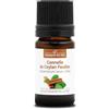La Compagnie des Sens CANNELLA DI CEYLON FOGLIE BIO - 5mL - Olio Essenziale di Qualità Premium - 100% Puro, Naturale, garantito ChromaCert® - Chemotipizzato & Integrale