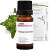 Aroma Labs Maggiorana Selvatica BIO (Thymus mastichina) - 10 mL - Olio Essenziale Chemiotipizzato e Certificato AB/Cosmos - Aroma Labs - Made in France