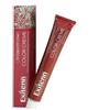 Exitenn Tintura Permanente Colore Creme 60 ml N. 93-ex