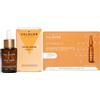 Valquer Laboratorios Valquer Pack Viso Siero 30 ml e fiale 10 ml, Idratante e Protettivo con Vitamina C, E e Acido Ialuronico. Antirughe Rivitalizzanti con Ingredienti Naturali per tutti i tipi di pelle. Vegano.