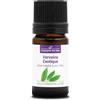 La Compagnie des Sens VERBENA ESOTICA (Litsea cubeba) BIO - 5mL - Olio Essenziale di Qualità Premium - 100% Puro, Naturale, Garantito ChromaCert® - Chemiotipizzato & Integrale