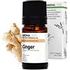 Aroma Labs Zenzero BIO (Zingiber officinale) - 5 mL - Olio Essenziale Chemiotipizzato e Certificato AB - Digestione & Mal d'auto - Aroma Labs - Made in France