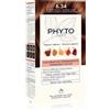 Phyto Color Color 1 pz