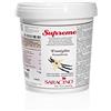 SARACINO We love pastry Saracino Pasta Supreme Vaniglia Bourbon - 1 KG