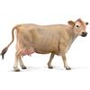 Collecta Figura della fattoria: Mucca Jersiaise