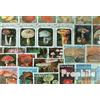 Prophila Collection Motivazioni 50 Diversi Funghi Francobolli (Francobolli per i Collezionisti) Piante/Funghi