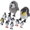 JOINPAYA 10pezzi Giocattolo Animale Pinguino Realistico Di Animale Polare Per Ragazzo Ragazza Divertenti Figure Pinguini Sicuro Gioco Educativo Per Sviluppo Cognitivo e Immaginativo