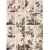 Bristlegrass Puzzle da 1000 pezzi per adulti-dinastia Qing cinese vecchio maestro Giuseppe Castiglione Capolavori dell'arte Serie di fiori Regalo per gli appassionati di puzzle Rompicapo unico (1000
