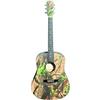OLVEIRA AG340 CHIT. ACUSTICA PRO