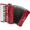 Jelquix Fisarmonica IRIN a 8 bassi e 22 tasti, strumento musicale per bambini principianti. Adatta a bambini alti 110-140 cm o principianti.